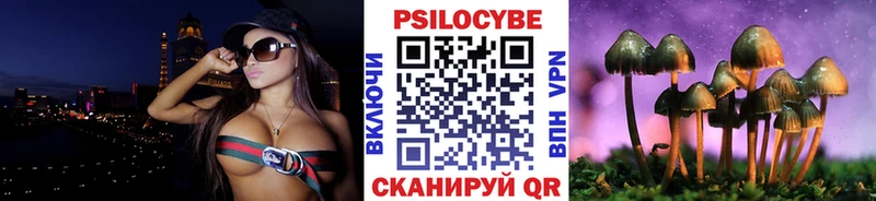 Псилоцибиновые грибы Psilocybine cubensis  где можно купить наркотик  Елизово 